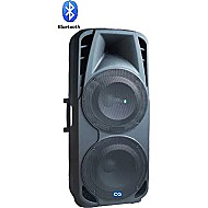 Trolley Speaker 15" Double Woofer